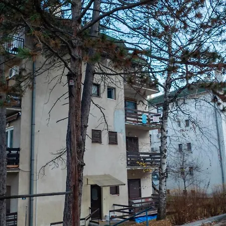 Apartment Aleksic - As U Centru Sokobanje *